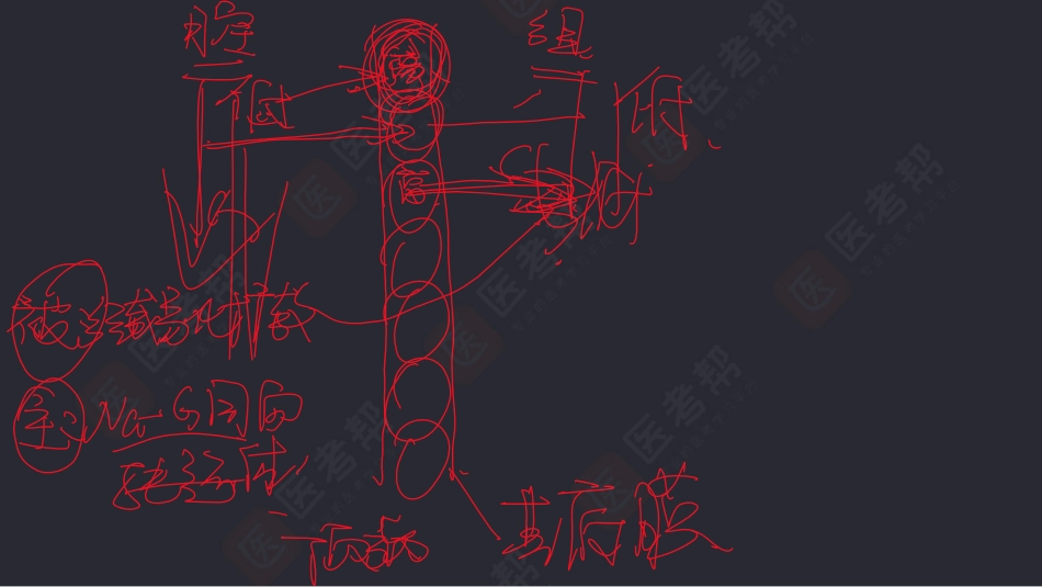 14-18生理（1）.pdf_第3页