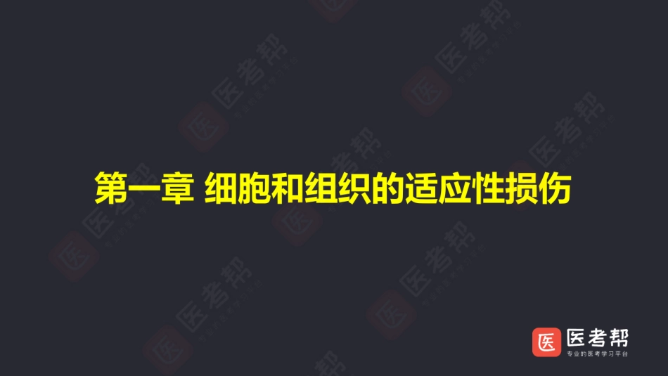 24级西医综合病理学20年刷题专项班(1).pdf_第3页