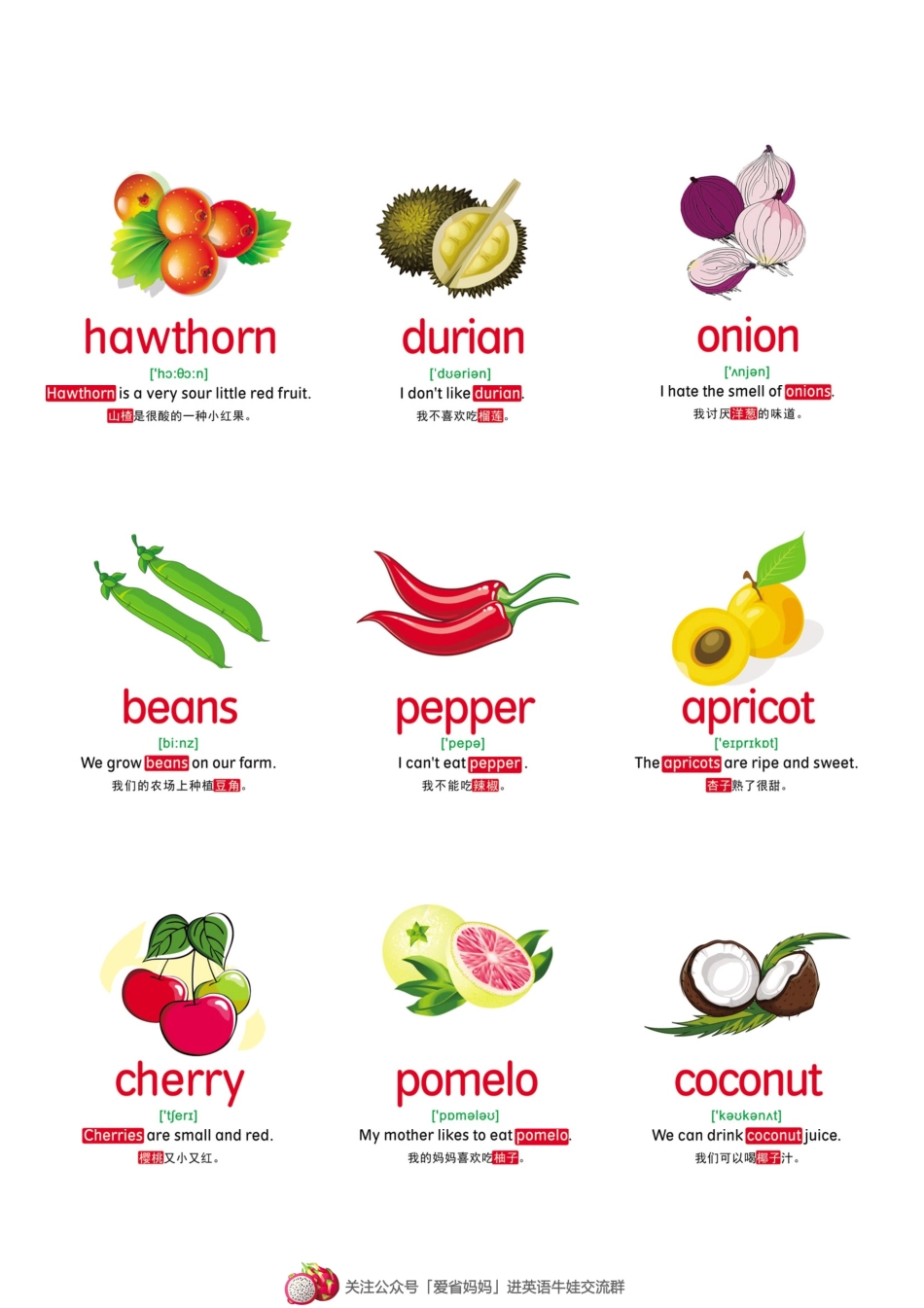 【蔬果】46张(1).pdf_第2页