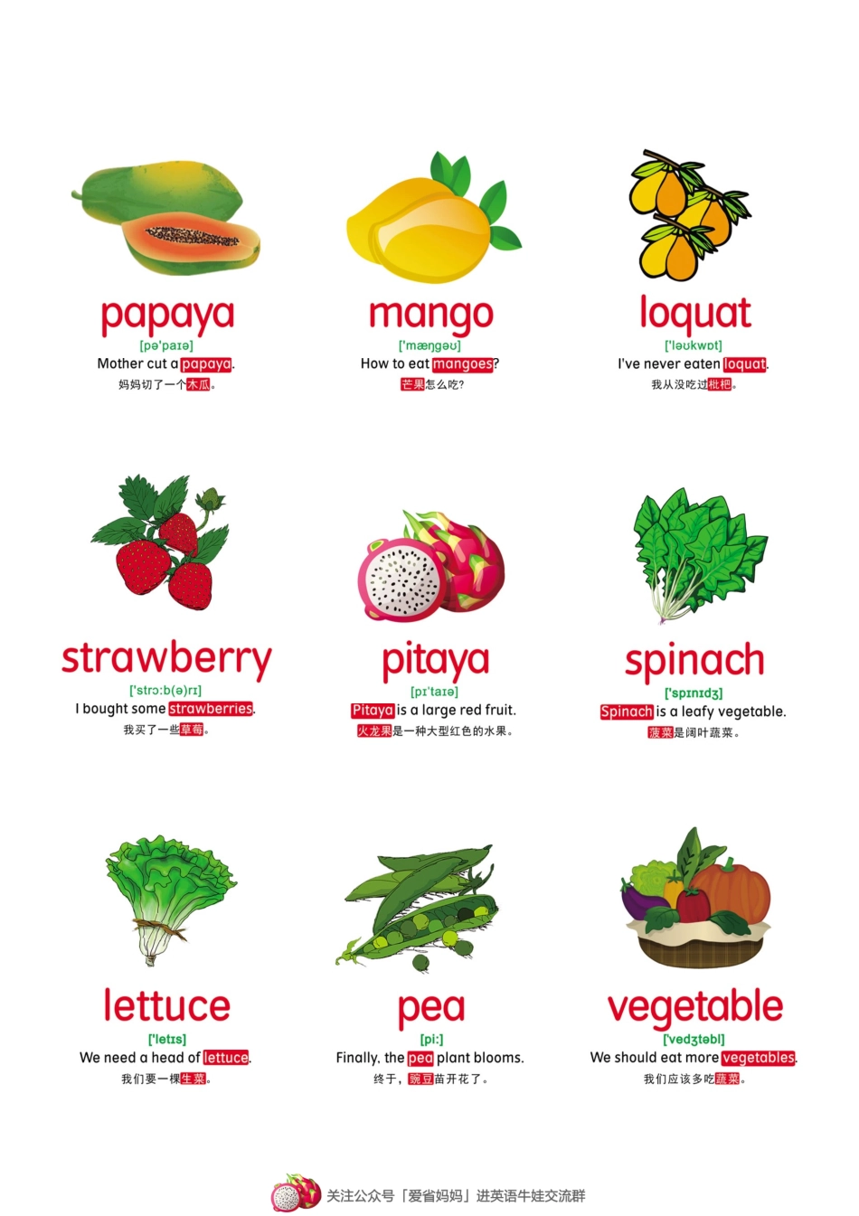 【蔬果】46张(1).pdf_第3页