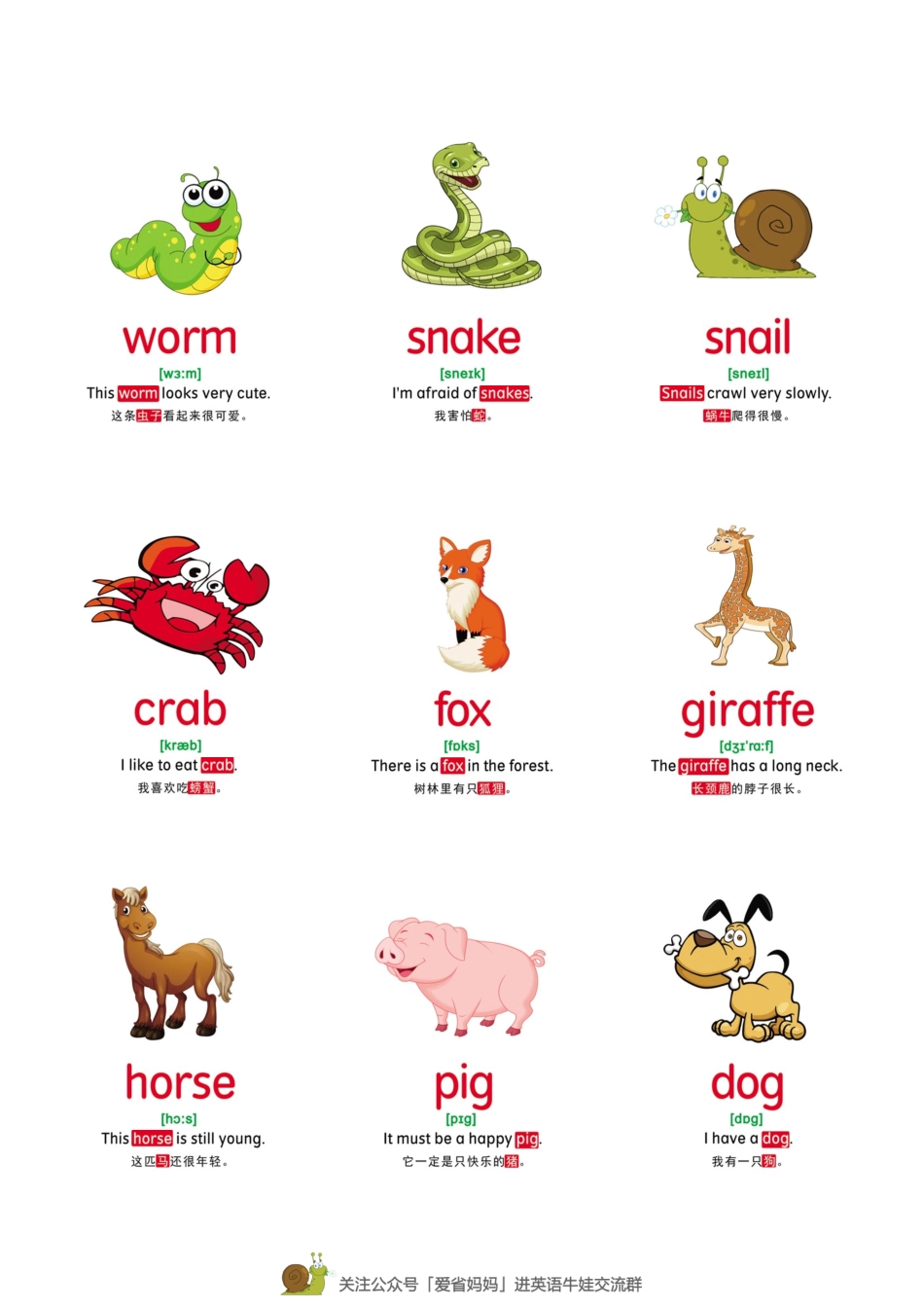 【动物】78张(1).pdf_第1页