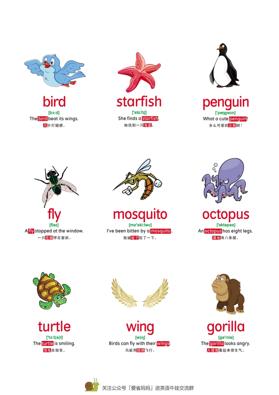 【动物】78张(1).pdf_第2页