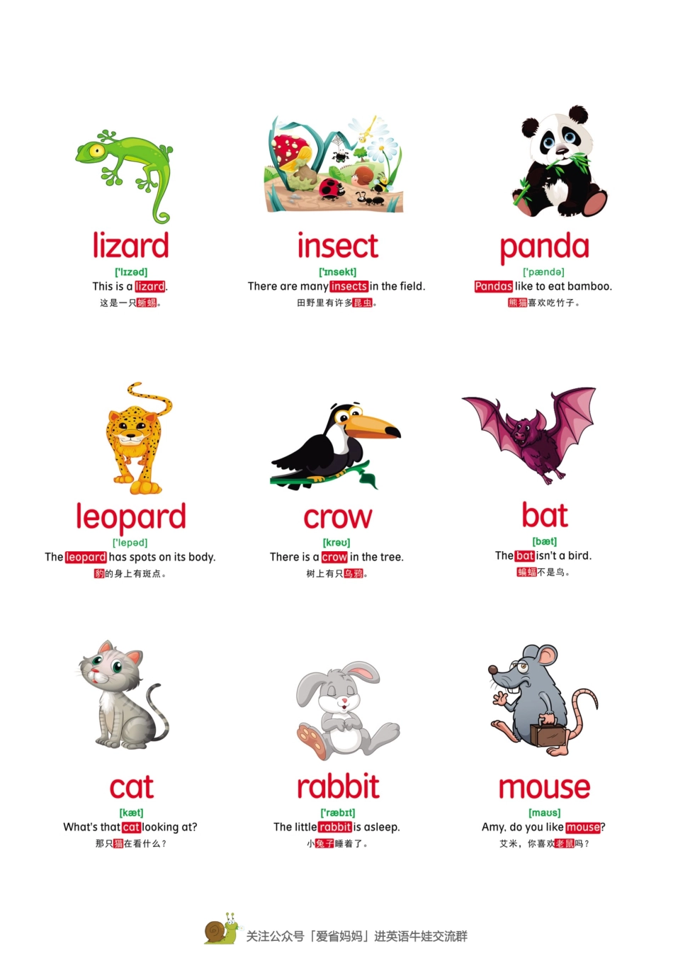 【动物】78张(1).pdf_第3页