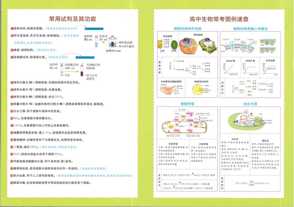 《一本涂书》高中生物新教材版封面.pdf_第2页
