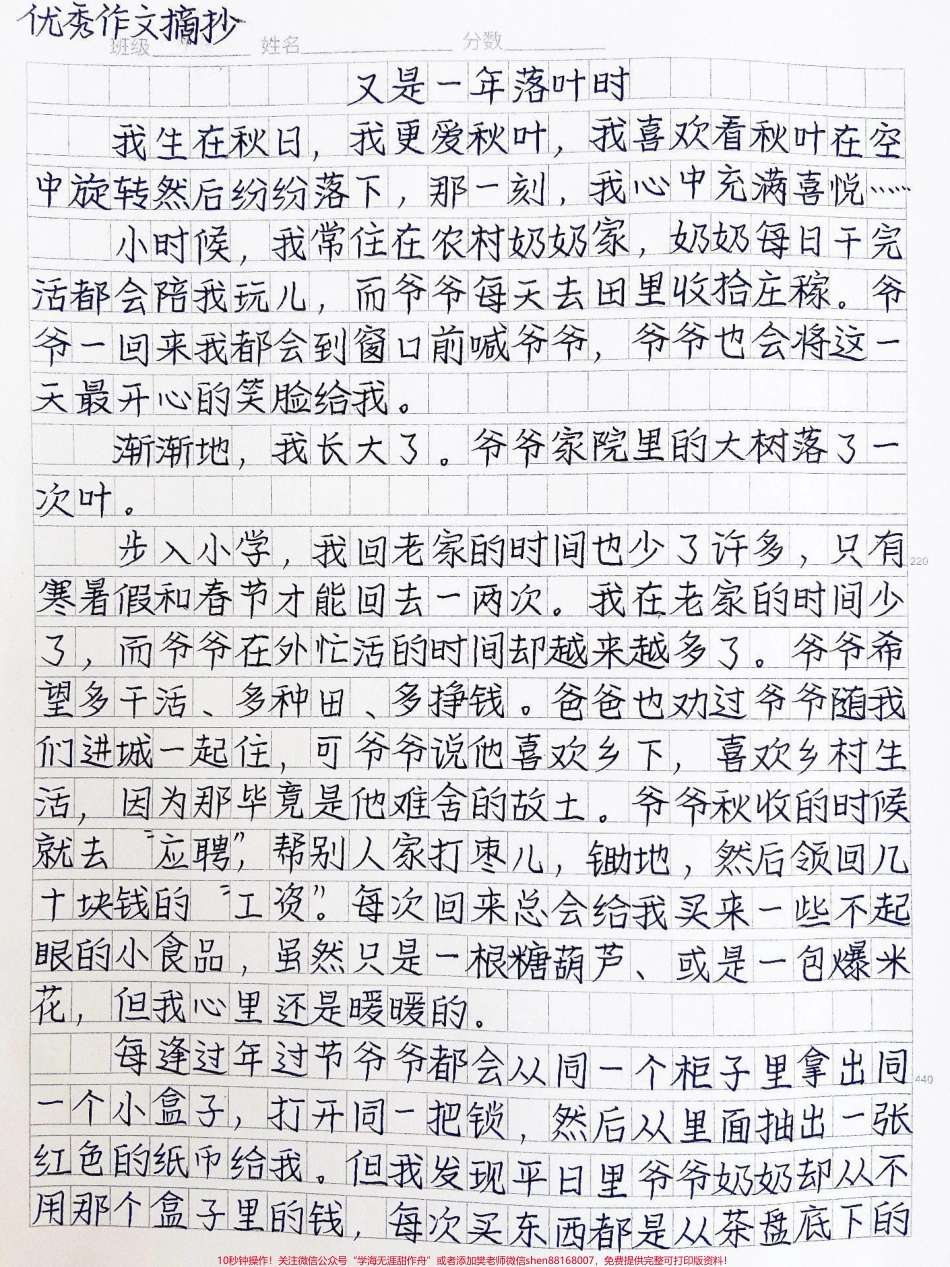 关于亲情的作文《又是一年落叶时》#作文 #图文伙伴计划 #抖音图文来了.pdf_第1页