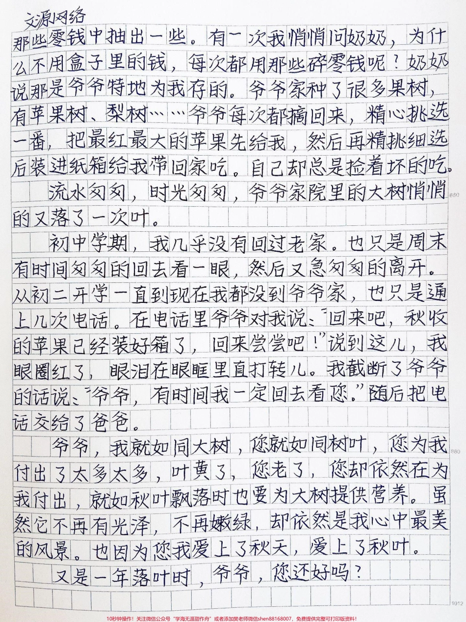 关于亲情的作文《又是一年落叶时》#作文 #图文伙伴计划 #抖音图文来了.pdf_第2页