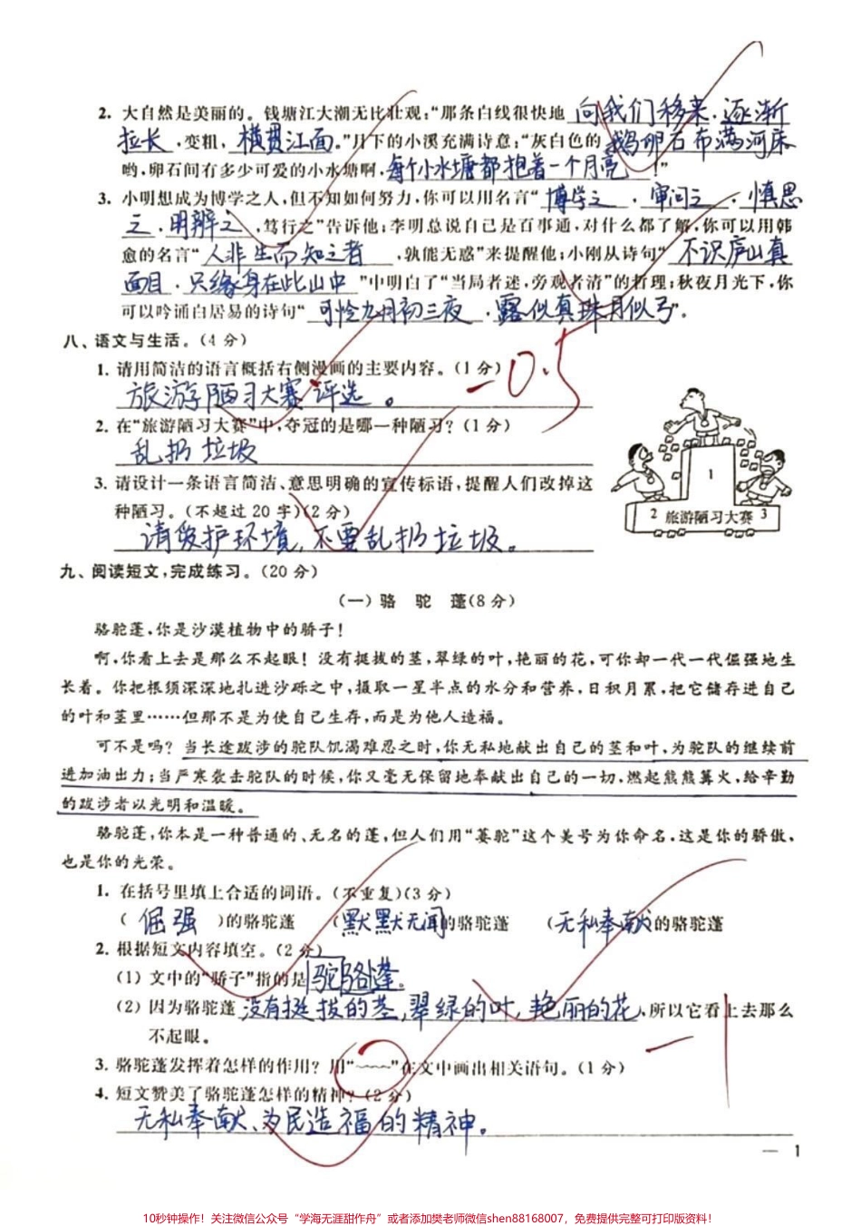 四年级上册语文期中调研卷#学习 #期中考试 #知识分享 #干货 #加油少年未来可期.pdf_第3页