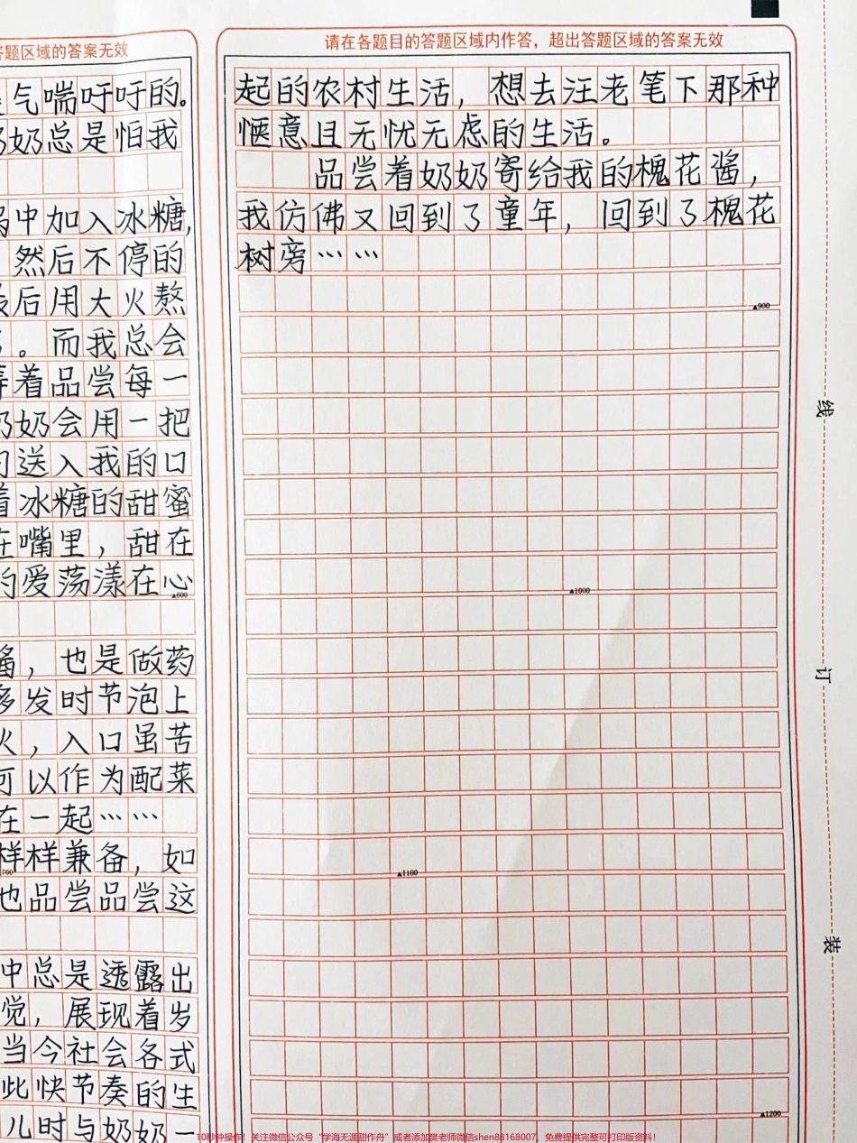 优秀作文《槐花》秋染红了枫叶阳光洒满大地#作文 #图文伙伴计划 #抖音图文来了.pdf_第3页