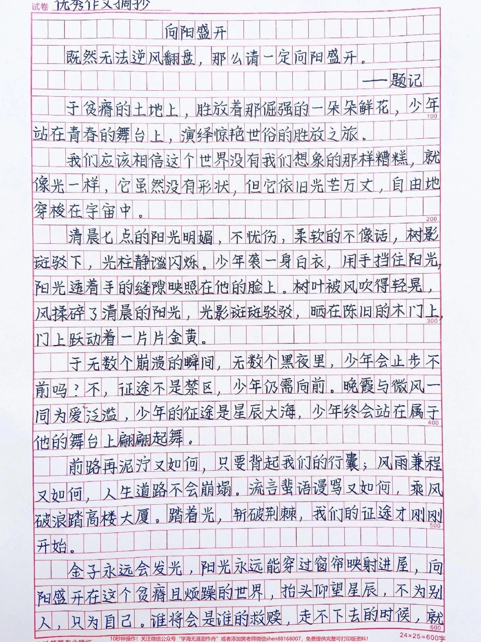 这篇作文好绝《向阳盛开》既然无法逆风翻盘那么请一定向阳盛开#作文 #抖音图文来了.pdf_第1页