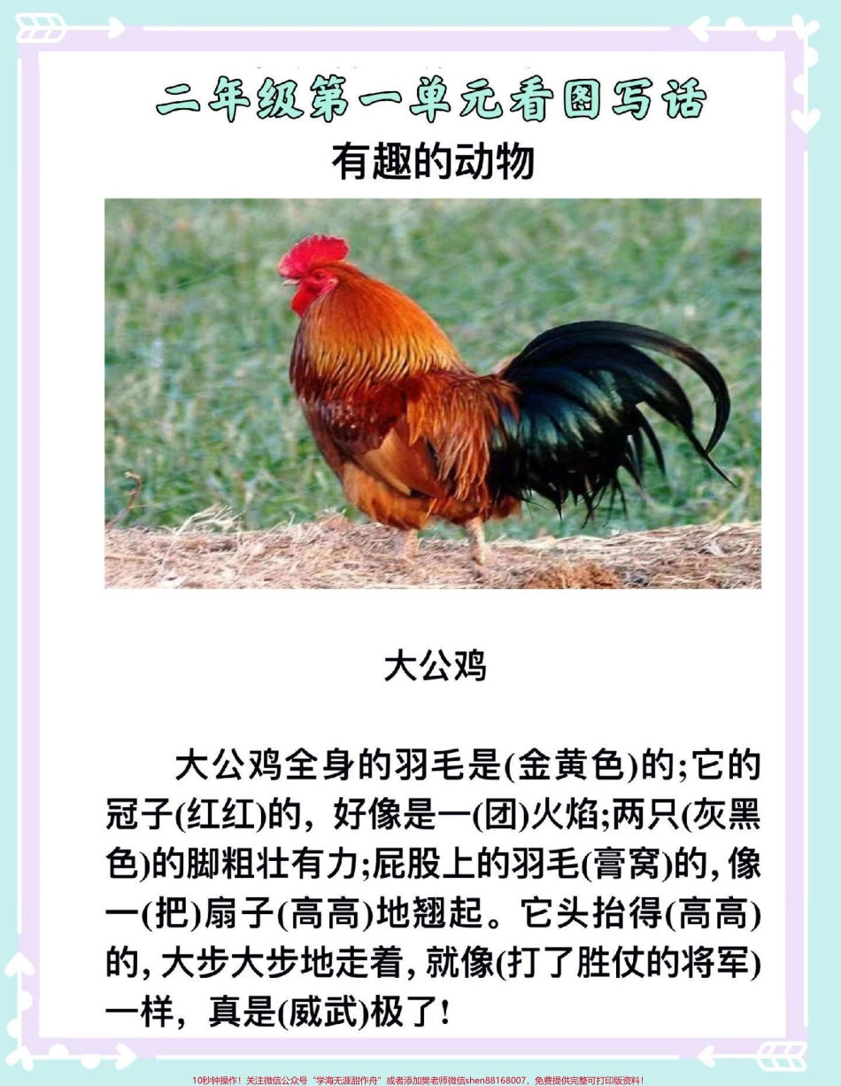 一升语文第一单元有趣的动物看图写话范本#看图写话 #一升二 #语文 #作文素材 #作文.pdf_第2页