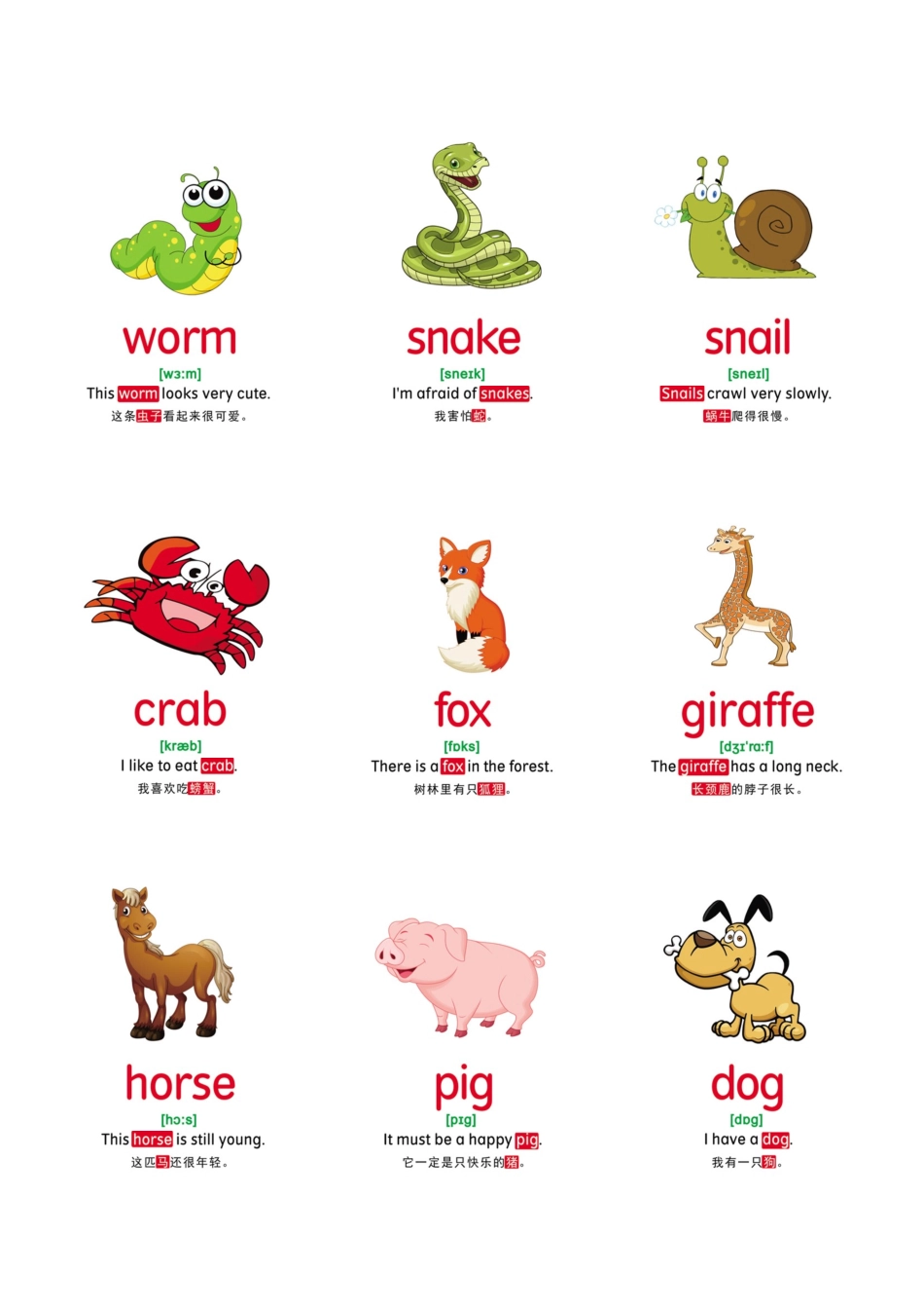 【动物】78张.pdf_第1页