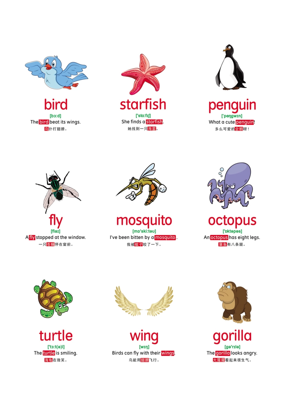 【动物】78张.pdf_第2页