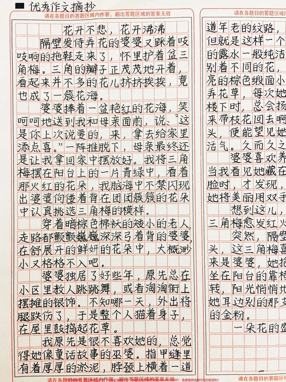 优秀作文《花开不悲花开沸沸》婆婆喜欢养花也喜欢送花当我看见她藏在花后面那红润的笑脸时才发现那是比花更美的人她将美丽用双手托住献给他人#作文 #图文伙伴计划 #抖音图文来了.pdf_第1页