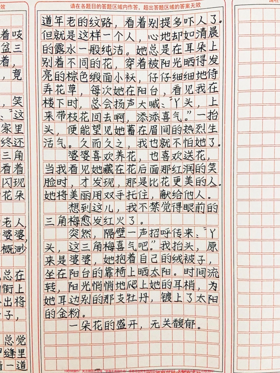 优秀作文《花开不悲花开沸沸》婆婆喜欢养花也喜欢送花当我看见她藏在花后面那红润的笑脸时才发现那是比花更美的人她将美丽用双手托住献给他人#作文 #图文伙伴计划 #抖音图文来了.pdf_第2页