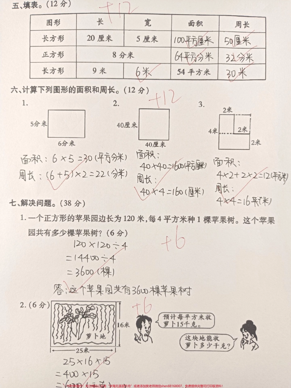 三年级数学下册期末复习图形面积专项训练家长替孩子收藏打印一份吃透面积相关问题考试拿高分#三年级 #三年级数学 #三年级数学下册 #三年级数学重点难点 #家长收藏孩子受益.pdf_第3页