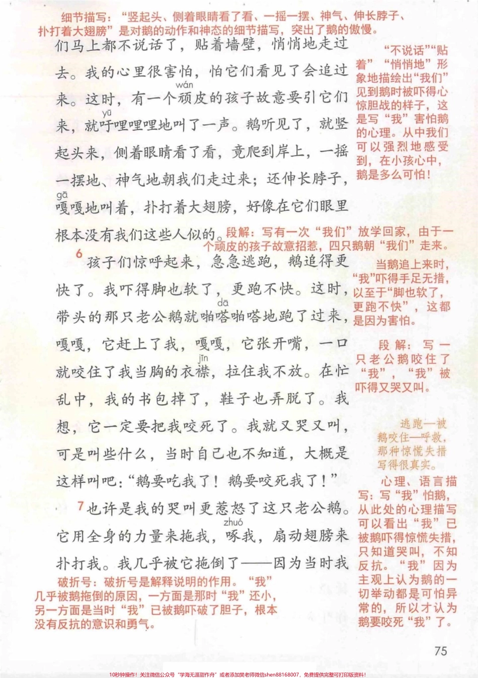 四年级上册语文“牛和鹅”课文解析课文笔记“牛和鹅”课本解析有完整课本电子版可打印#四年级语文上册 #小学语文怎么学 #课本笔记 #语文笔记 #四年级语文 - 副本.pdf_第2页