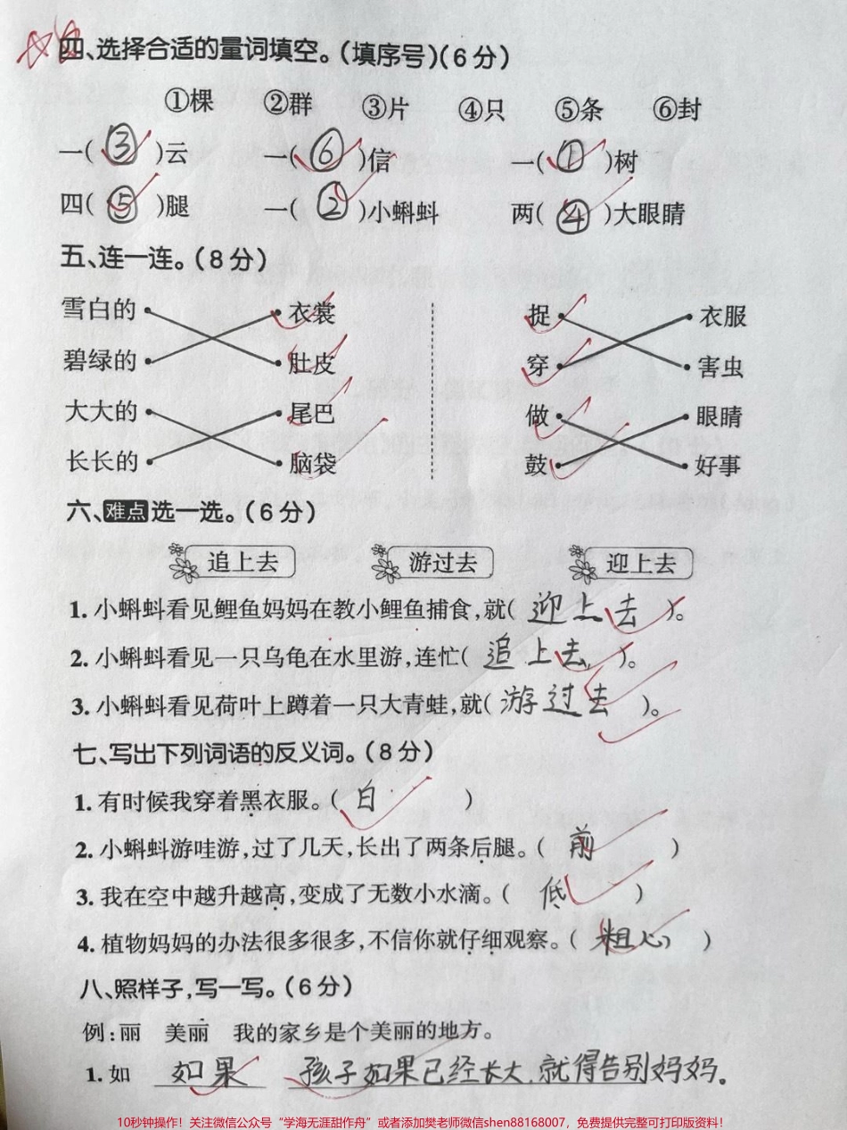 二年级上册语文第一单元测试题#第一单元测试卷 #二年级语文 #学习辅导资料 #学霸秘籍 #小学试卷分享.pdf_第2页