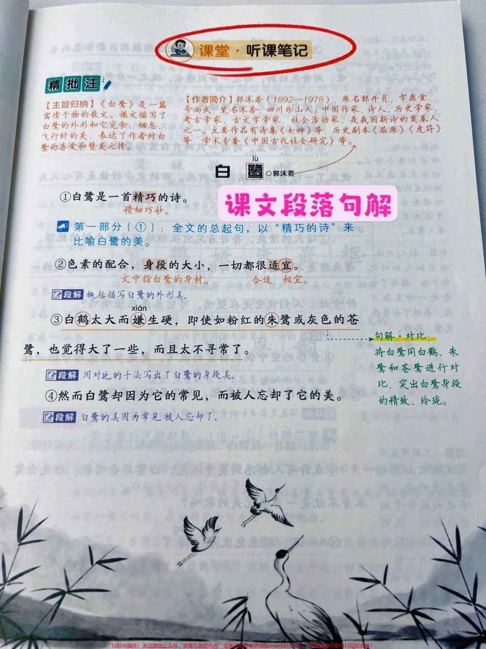 给孩子准备这个黄冈随堂笔记和课本同步课本原文~丰富笔记~课前预习单#小学语文 #教辅推荐 #课堂笔记.pdf_第3页