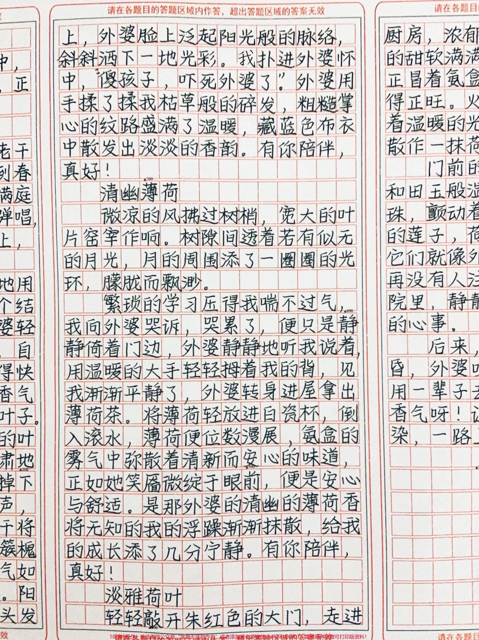 和外婆的时光永远是最美好幸福的！《有你陪伴真好》一些浮光掠影穿梭在时光中那些飘落在光阴褶皱里的香气正寻着成长的道路畏裳而来有你陪伴真好！#作文 #图文伙伴计划 #抖音图文来了.pdf_第2页