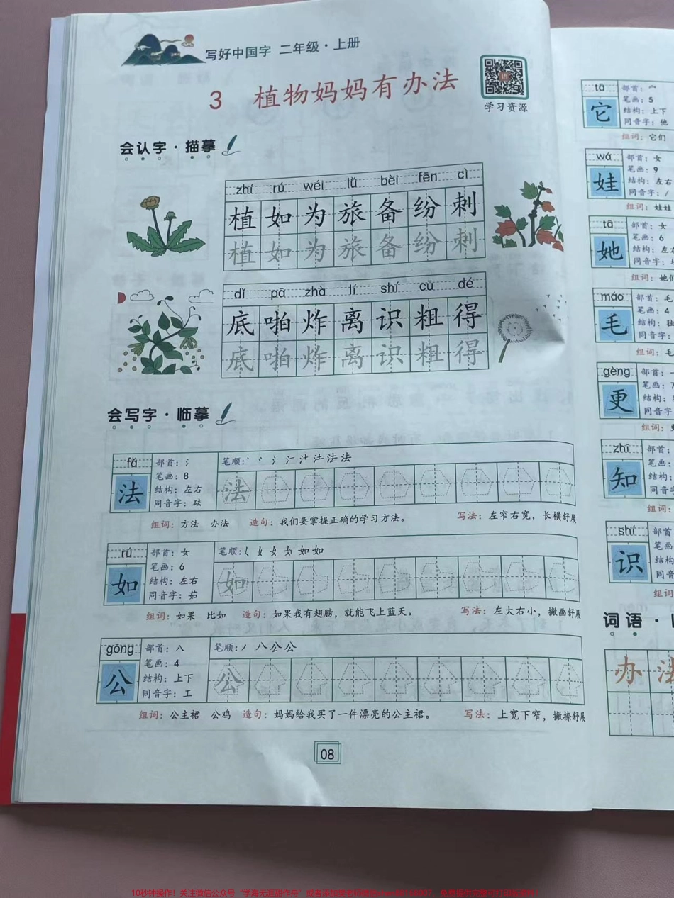 二年级上册课文同步写好中国字二年级上册课文同步写好中国字如图所示一课一练#一升二 #暑假作业 #同步生字 #规范字书写 #练字.pdf_第3页