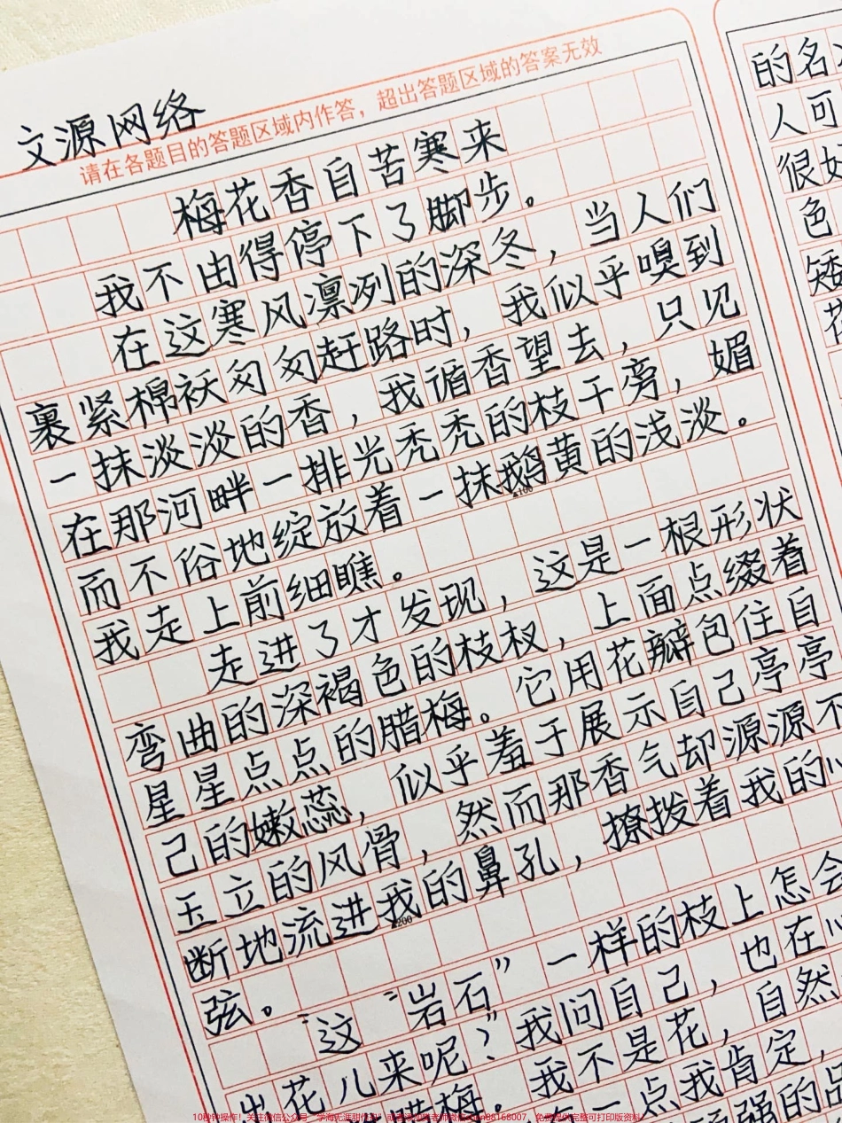 作文《梅花香自苦寒来》少年有他的山海有他的重重山影有他的万里波涛倘若能够绽放能够璀璨、能够绚丽纵使尝尽奋斗的苦楚也无怨悔#作文 #抖音图文来了 #图文伙伴计划.pdf_第1页