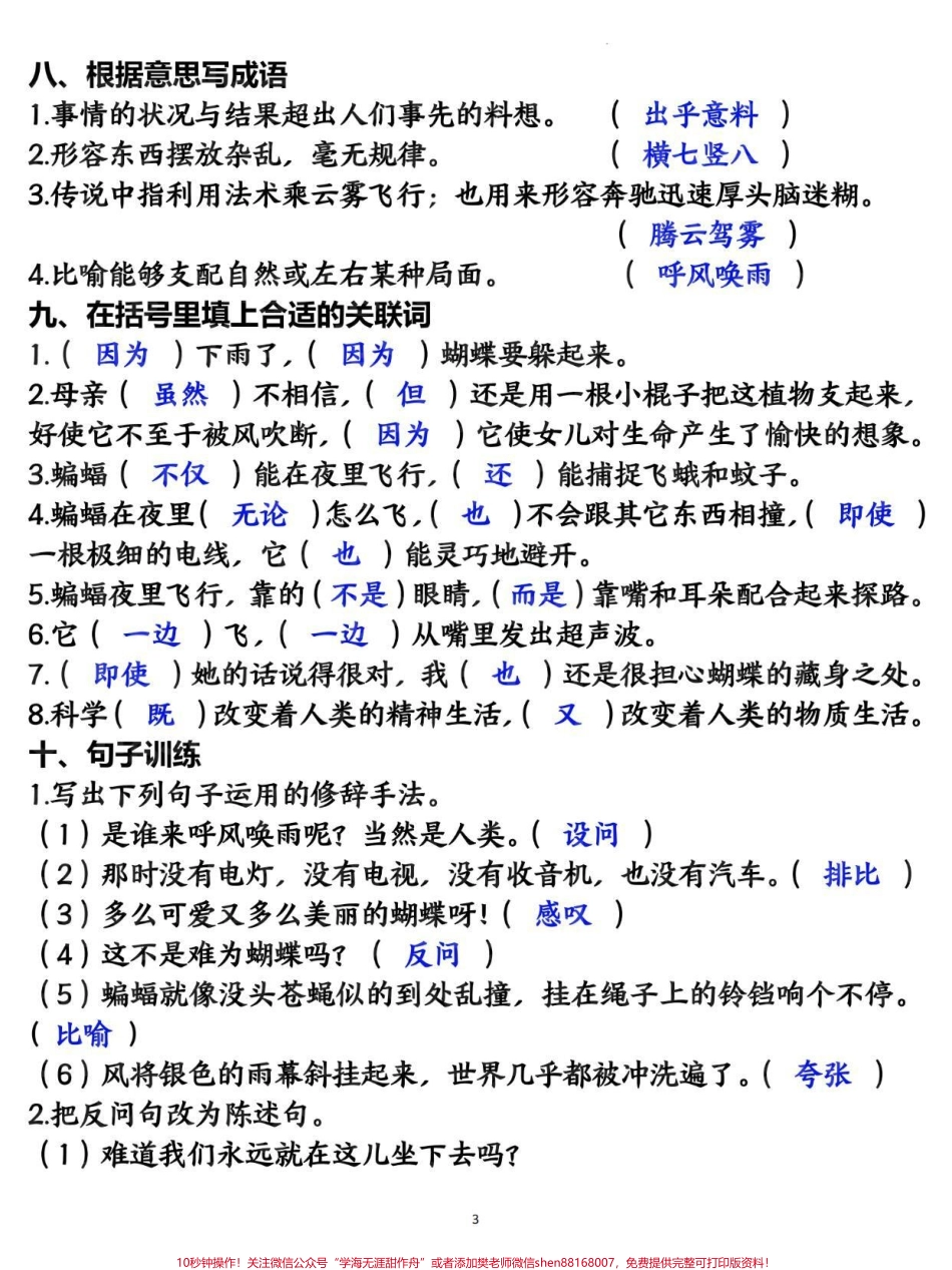 四年级上册语文第二单元基础知识复习训练#四年级 #四年级语文 #四年级上册语文 #小学语文 #知识点总结.pdf_第3页