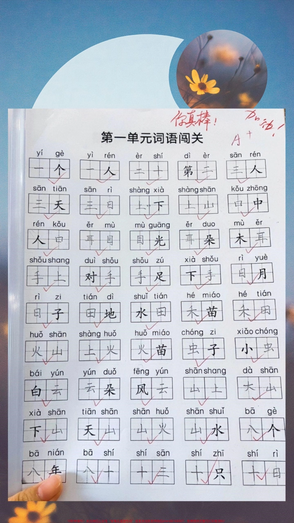 小学老师强烈推荐的高效生字拼音练习#图文掘金计划 小学老师强烈推荐的练习资料吃透这一套拼音词语练习期末考试不在话下！#每天坚持练字 #看拼音写词语技巧 #小学语文 #好书分享.pdf_第1页
