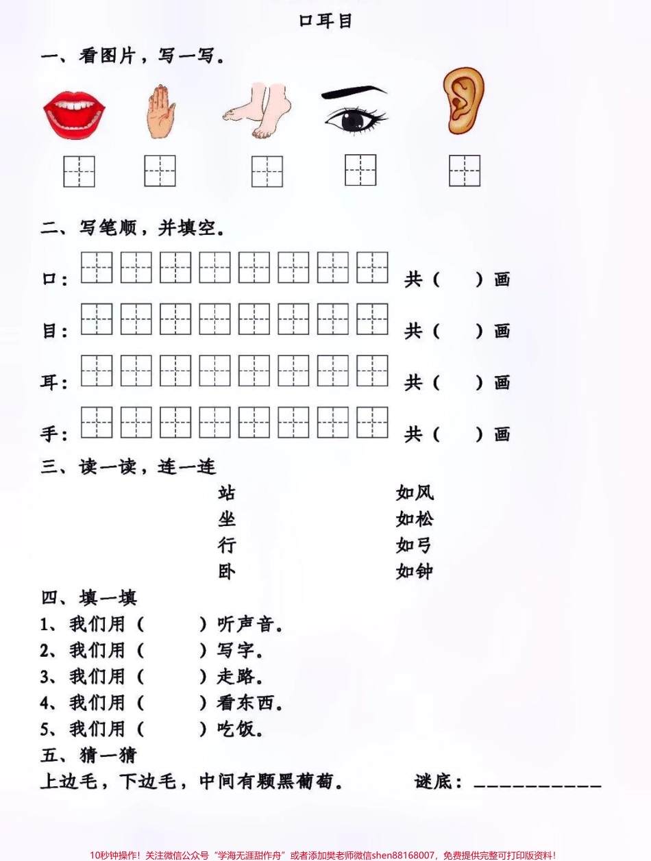 一二年级上册语文第一单元基础知识点同步练习及答案#知识分享 #教育 #家长收藏孩子受益 #每天学习一点点.pdf_第3页