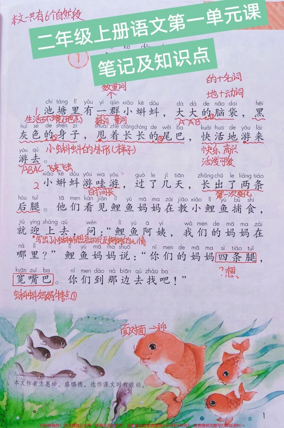 二年级上册语文第一单元手写课堂笔记和知识点#教育 #家长收藏孩子受益 #小学语文资料分享 #知识点总结.pdf_第1页