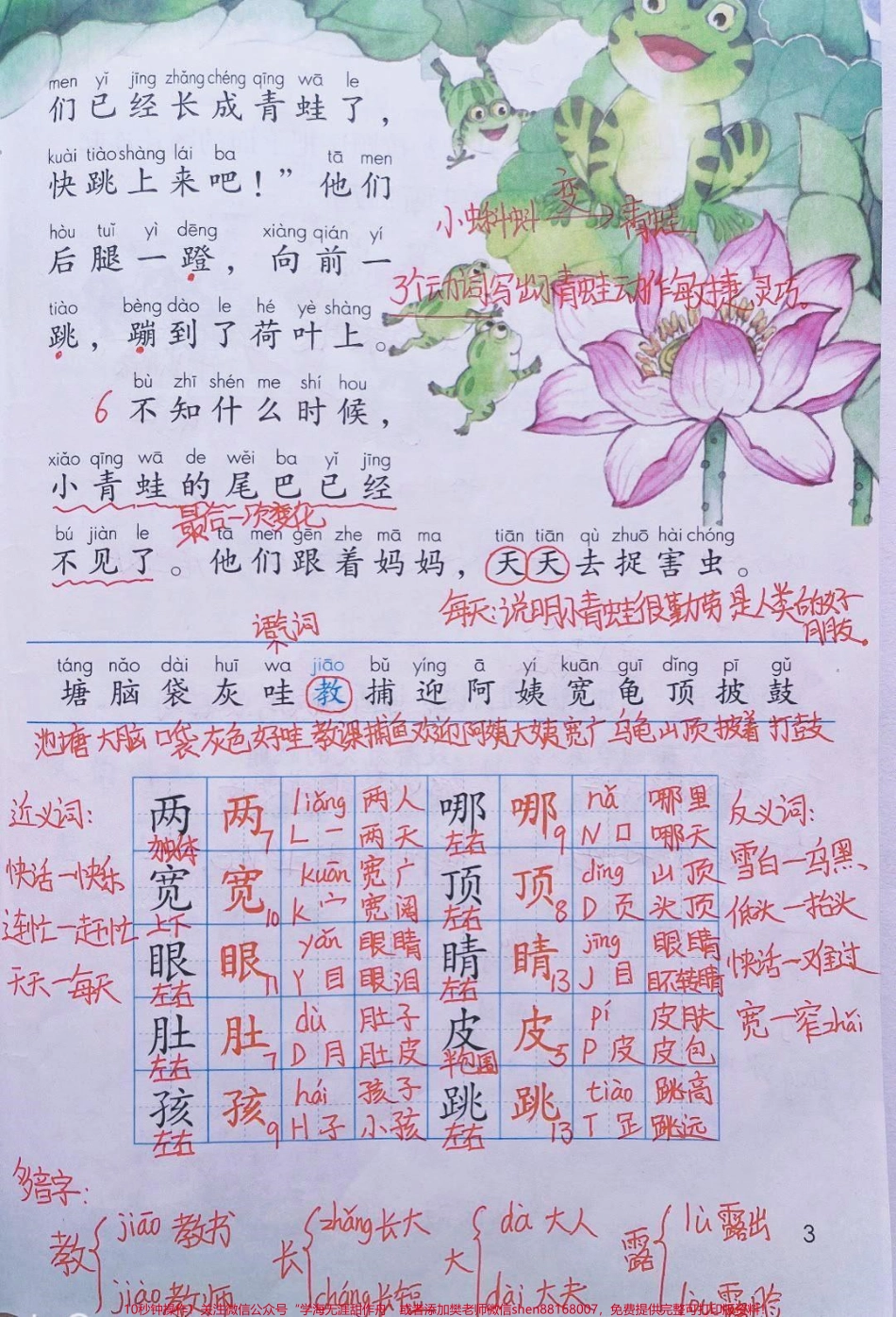 二年级上册语文第一单元手写课堂笔记和知识点#教育 #家长收藏孩子受益 #小学语文资料分享 #知识点总结.pdf_第3页