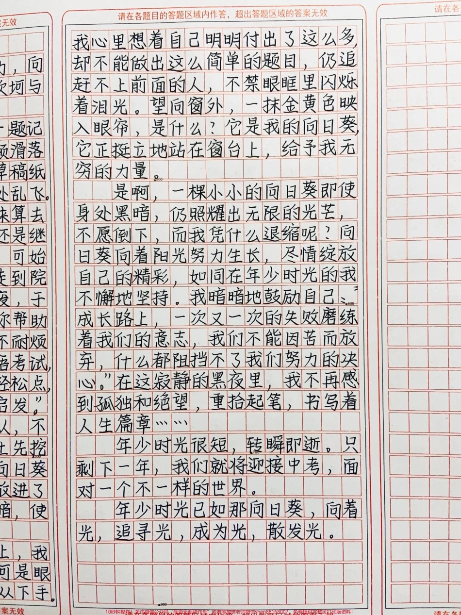 优秀作文《年少时光》年少时光只有不停地努力向这阳光一路进发才能越过坎坷与挫折扬帆起航#作文 #图文伙伴计划.pdf_第3页