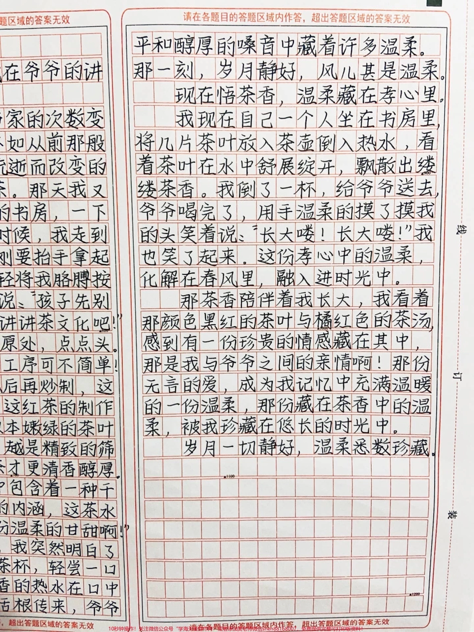 这篇作文太优秀了！《温柔藏在时光里》缕缕茶香在屋中氤氲着这茶香不随时光消逝而消散被我独家珍藏于记忆中成为心中的一抹温柔#作文 #图文伙伴计划 #抖音图文来了.pdf_第3页