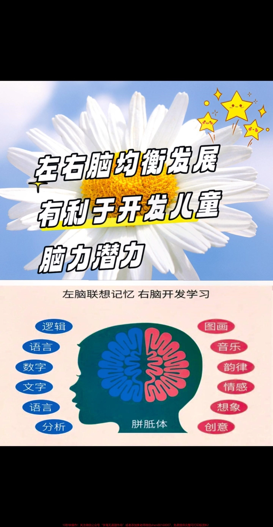 学前启蒙识字开发儿童脑力潜力#图文掘金计划 宝妈们：人类左脑联想记忆右脑开发学习让宝宝拥有一本学前识字书图文并茂有声伴读有利于开发儿童脑力潜力每天学习一点点进步看得见！#好书分享 #每天学习一点点 #启蒙早教 #童书推荐.pdf_第1页