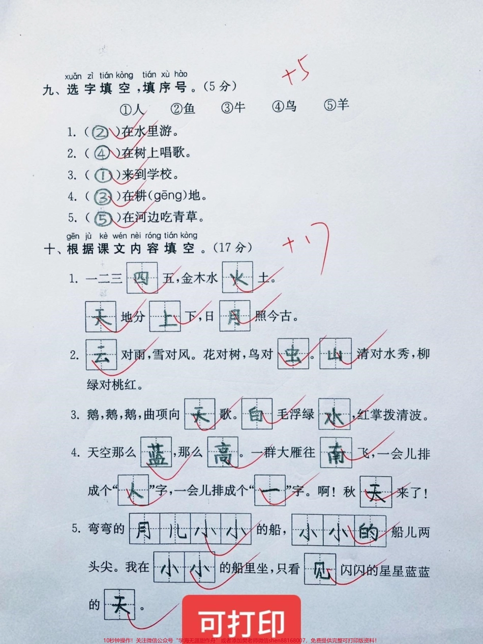 一年级上册语文期中考试试题一年级上册语文期中考试卷#一年级语文 #一年级期中期末卷 #一年级重点知识归纳 #一年级语文上册 @DOU+小助手.pdf_第3页
