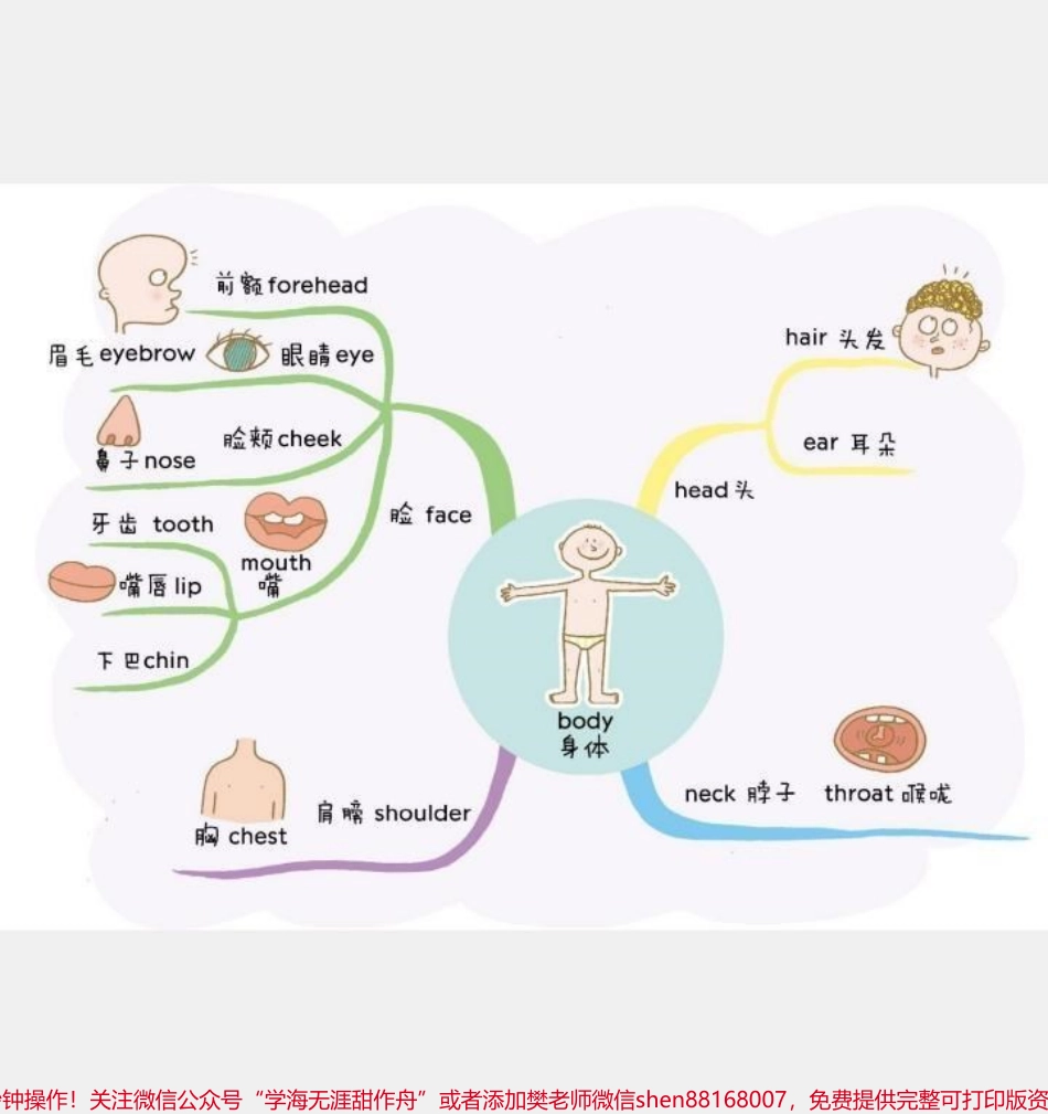 用思维导图速记小学生英语单词#用思维导图速记小学生英语单词#小学英语单词 #巧记单词 #小学背英文单词技巧 #如何速记英语单词 #小学生英语单词思维导图.pdf_第3页