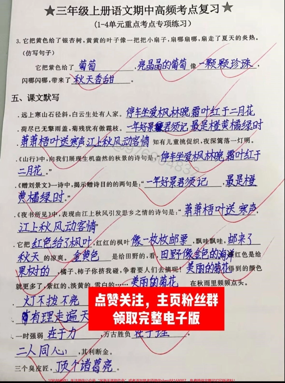 三年级语文上册期中高频考点复习#三年级 #期中考试 #三年级上册语文 #必考考点 #知识点总结.pdf_第3页