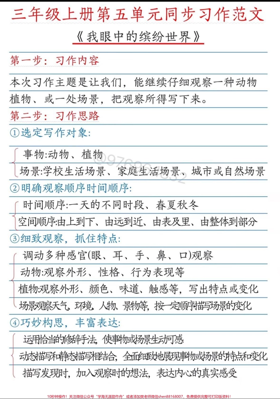 三年级语文上册 第五单元同步习作范文#三年级 #三年级上册语文 #优秀范文 #必考考点 #同步作文.pdf_第1页