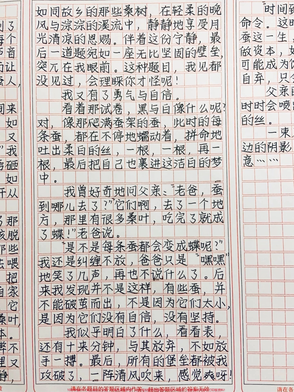 优秀作文《我也是一束阳光》一束束自信的阳光驱散了我身边的阴影我如一条蚕吐出无数暖意……#作文 #图文伙伴计划 #抖音图文来了.pdf_第3页