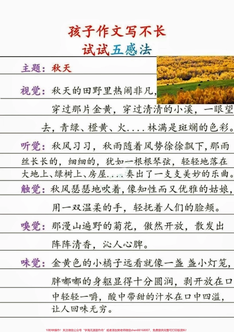 作文写不长试试五感法小学语文作文写不长试试五感法#如何写好作文 #写作技巧#小学语文#家长收藏孩子受益 #知识分享.pdf_第3页