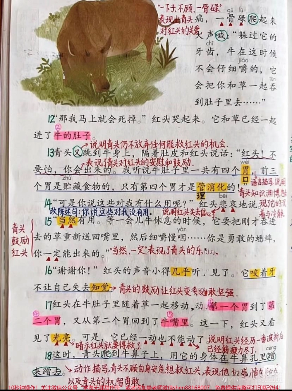 三年级上册语文10.在牛肚子里旅行笔记三年级上册语文第10课在牛肚子里旅行课堂笔记#三年级上册语文 #课文笔记 #随堂笔记 #知识点总结 #三年级语文重点归纳.pdf_第2页