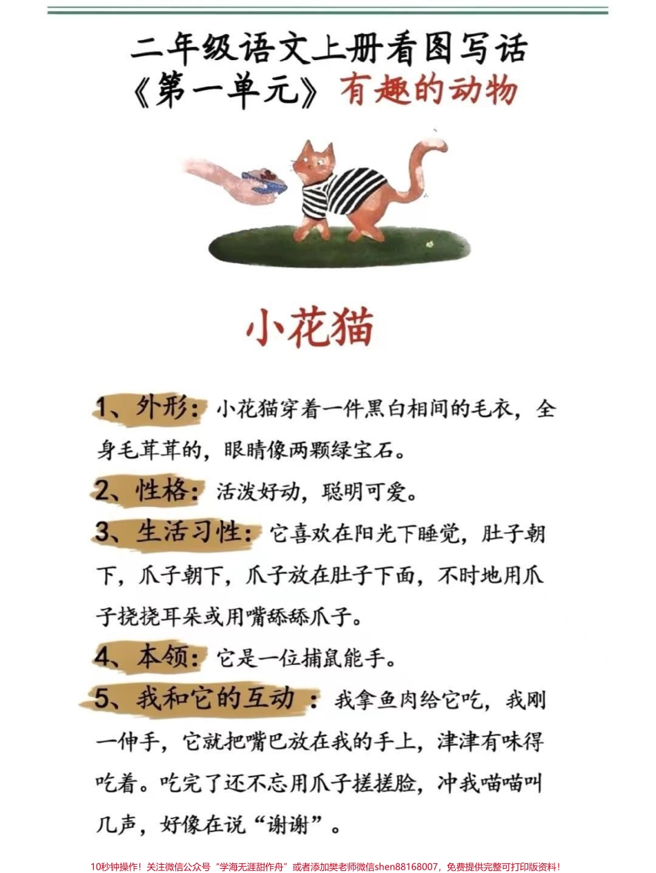 二年级上册同步作文有趣的动物#二年级上册语文 #作文#范文 #必考考点 #学习 必考知识分享@抖音小助手 @抖音创作者中心 @抖音热点宝.pdf_第1页