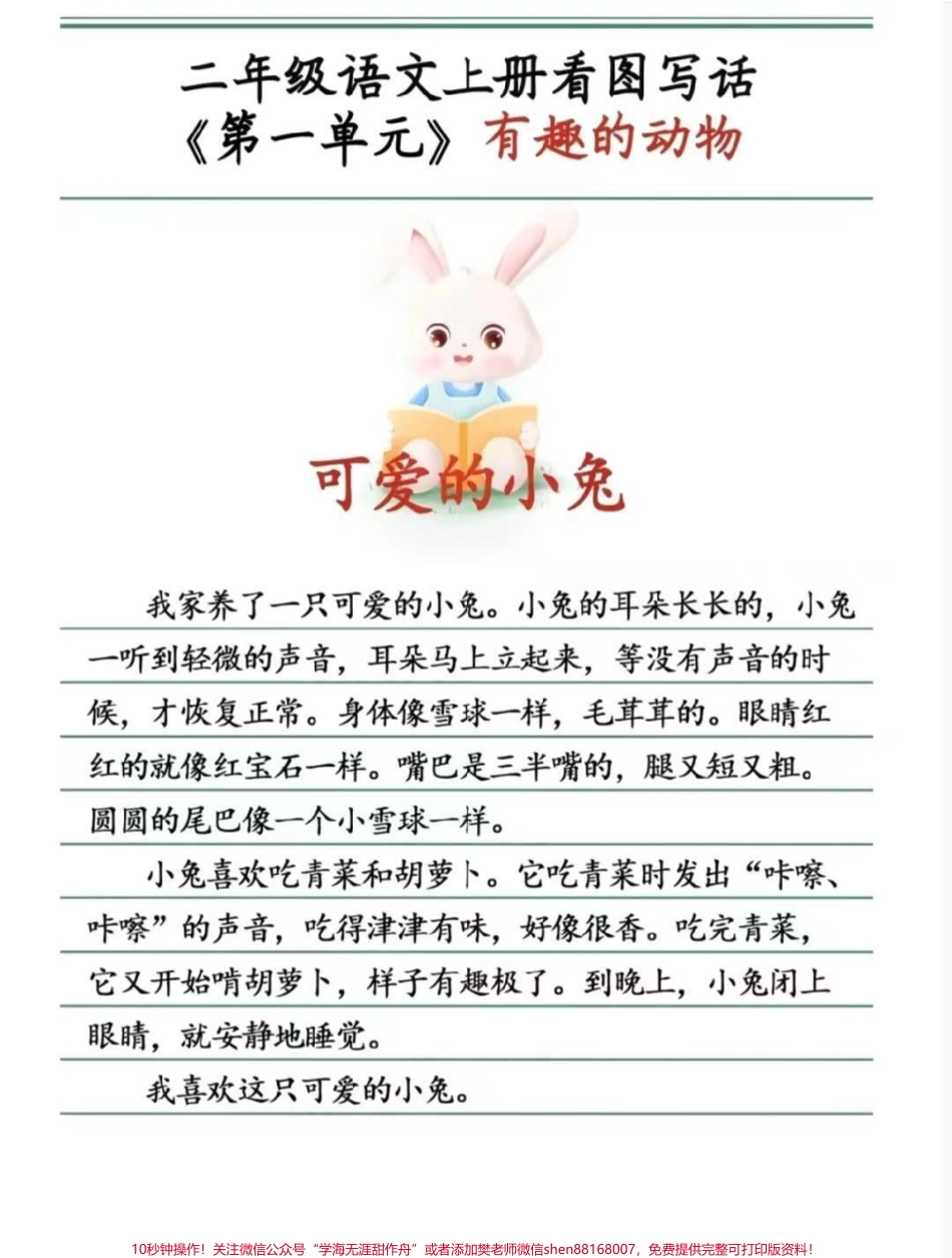 二年级上册同步作文有趣的动物#二年级上册语文 #作文#范文 #必考考点 #学习 必考知识分享@抖音小助手 @抖音创作者中心 @抖音热点宝.pdf_第3页