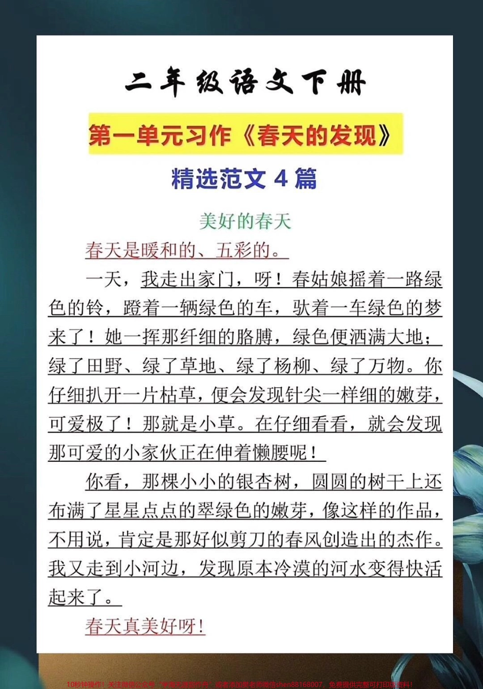 二年级语文下册第一单元习作《春天的发现》练习范文家长给孩子打印出来#知识点总结 #家长收藏孩子受益.pdf_第1页