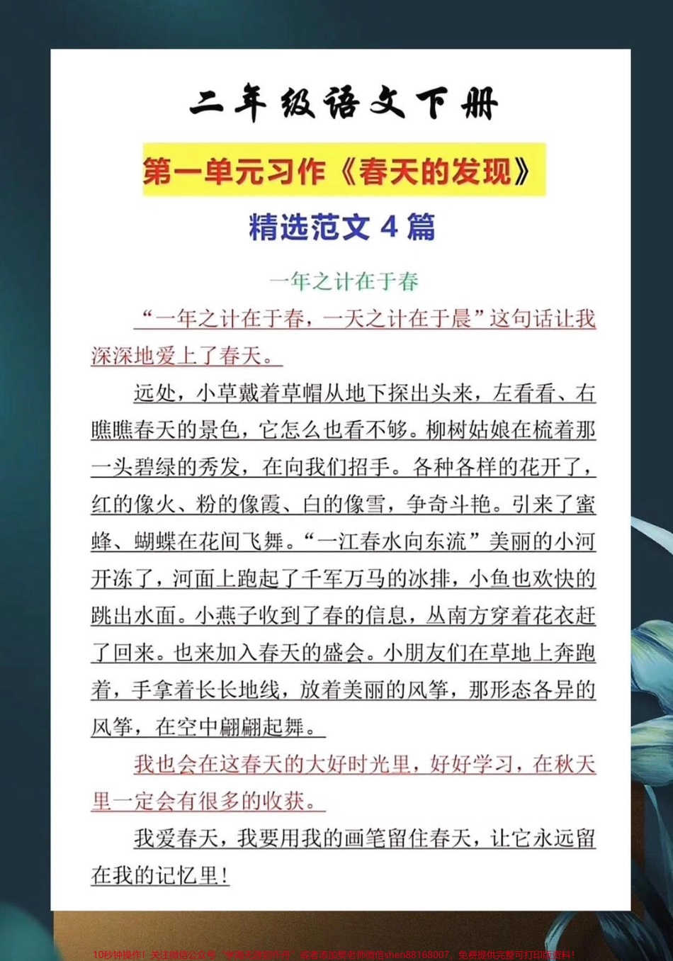二年级语文下册第一单元习作《春天的发现》练习范文家长给孩子打印出来#知识点总结 #家长收藏孩子受益.pdf_第2页
