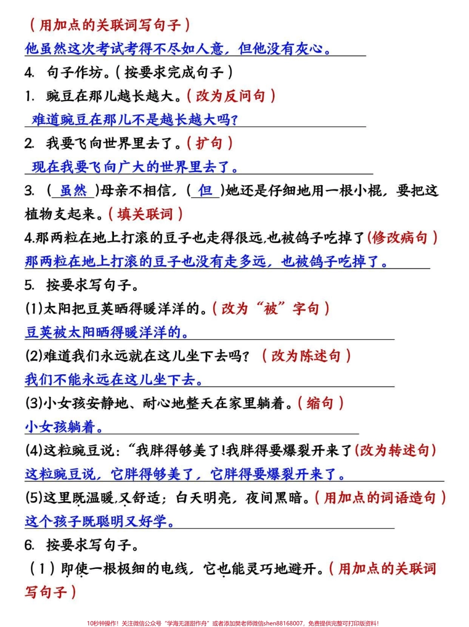 四年级上册语文第二单元句式转换专项训练#四年级 #四年级上册语文 #四年级语文 #小学语文 #小学语文知识点.pdf_第2页