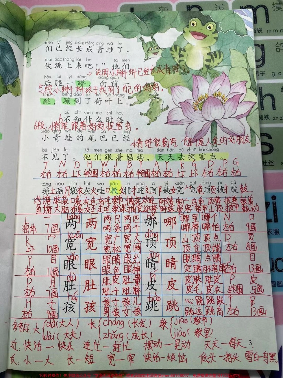 二年级上册语文1～3课同步笔记.pdf_第3页