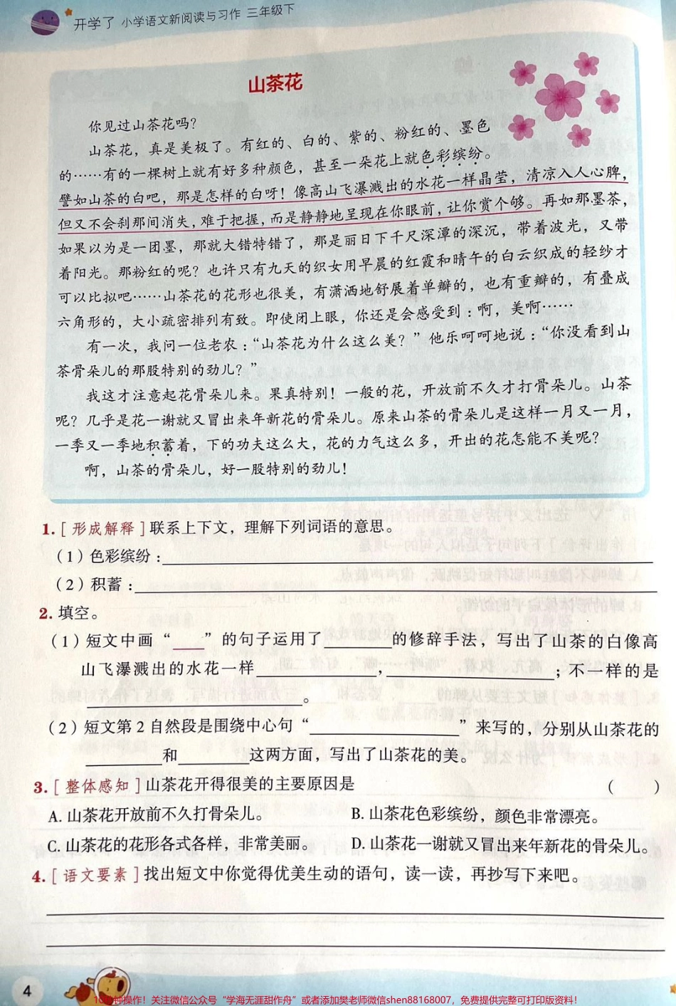 #语文 #阅读理解 #写作素材 #父母课堂 #二年级 #三年级 #孩子教育(1).pdf_第3页