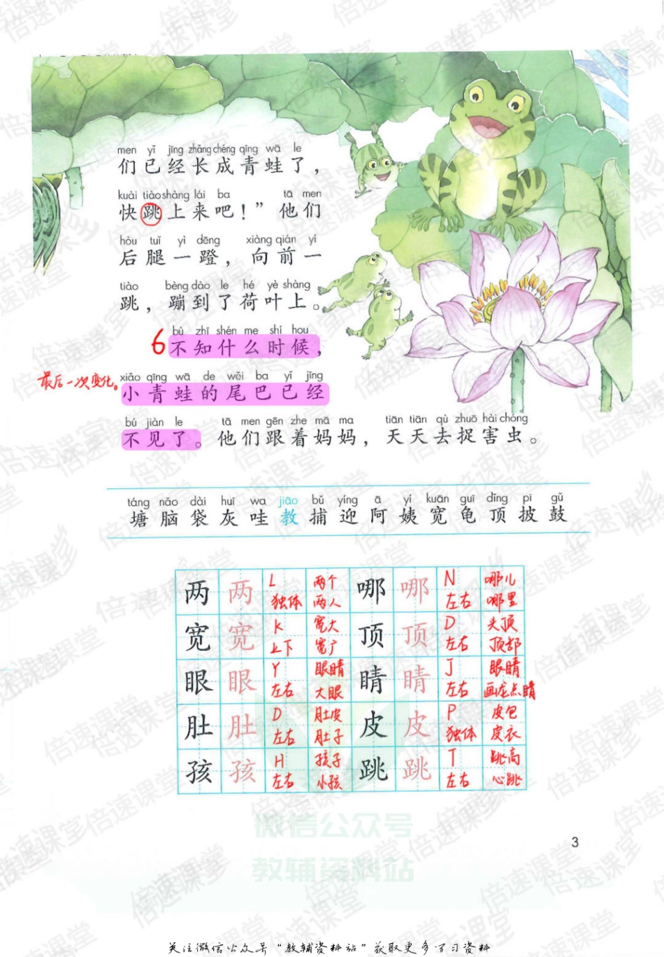 二年级上册语文部编版课堂笔记（倍速版）.pdf_第3页