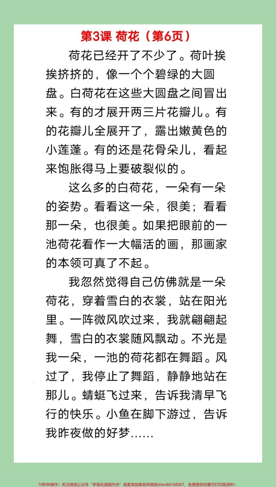 #必考考点 #三年级语文#必考考点 家长为孩子保存学习.pdf_第3页