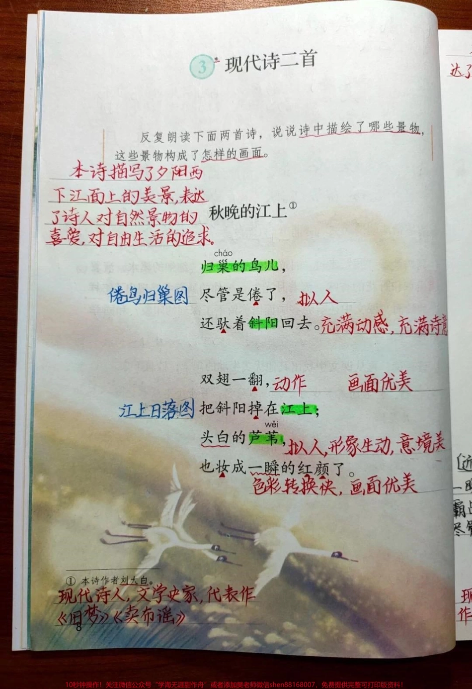 暑假预习四年级上册语文#小学语文 #知识点总结 #学习 #暑假.pdf_第1页
